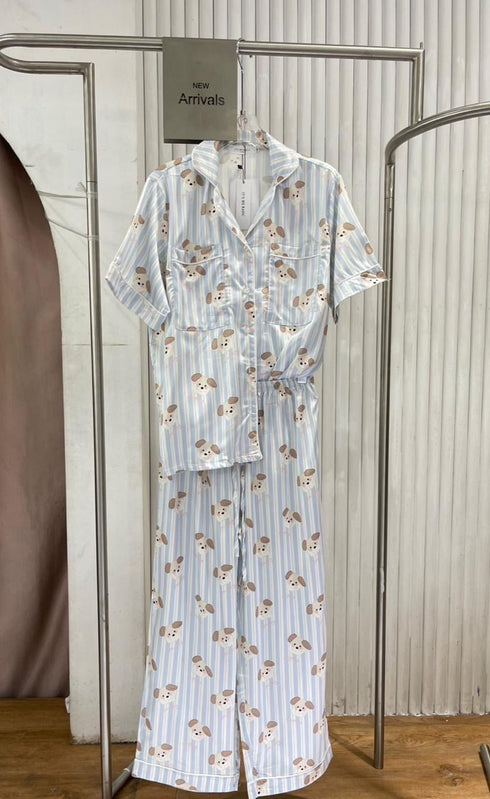 Women Casual Satin Nigh Suits